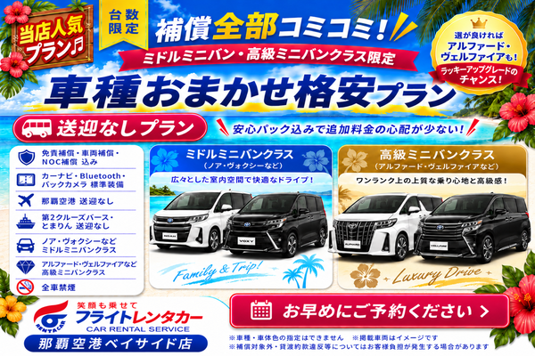レンタカープラン